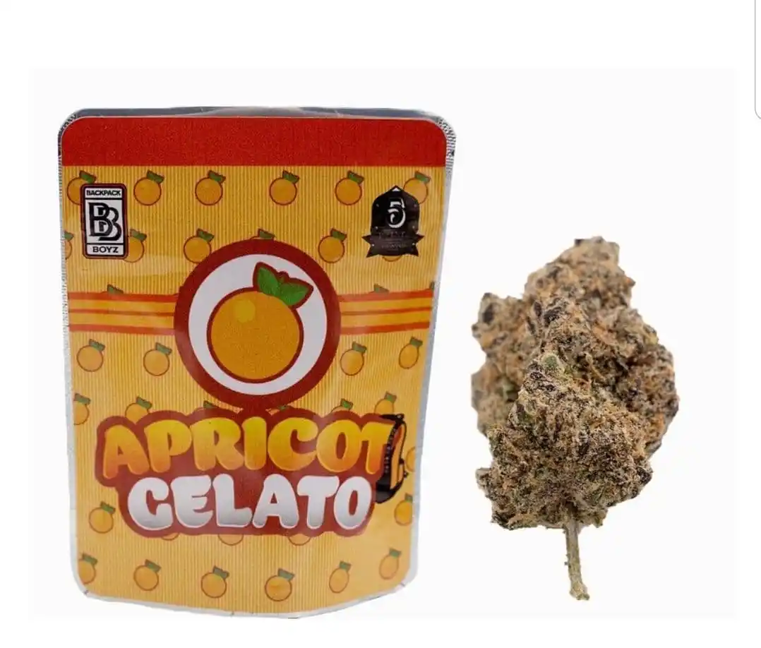 Apricot Gelato Strain | Backpackboyz