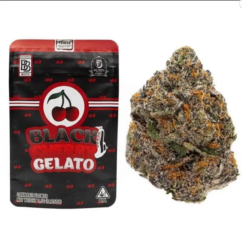 Black Cherry Gelato | Backpackboyz