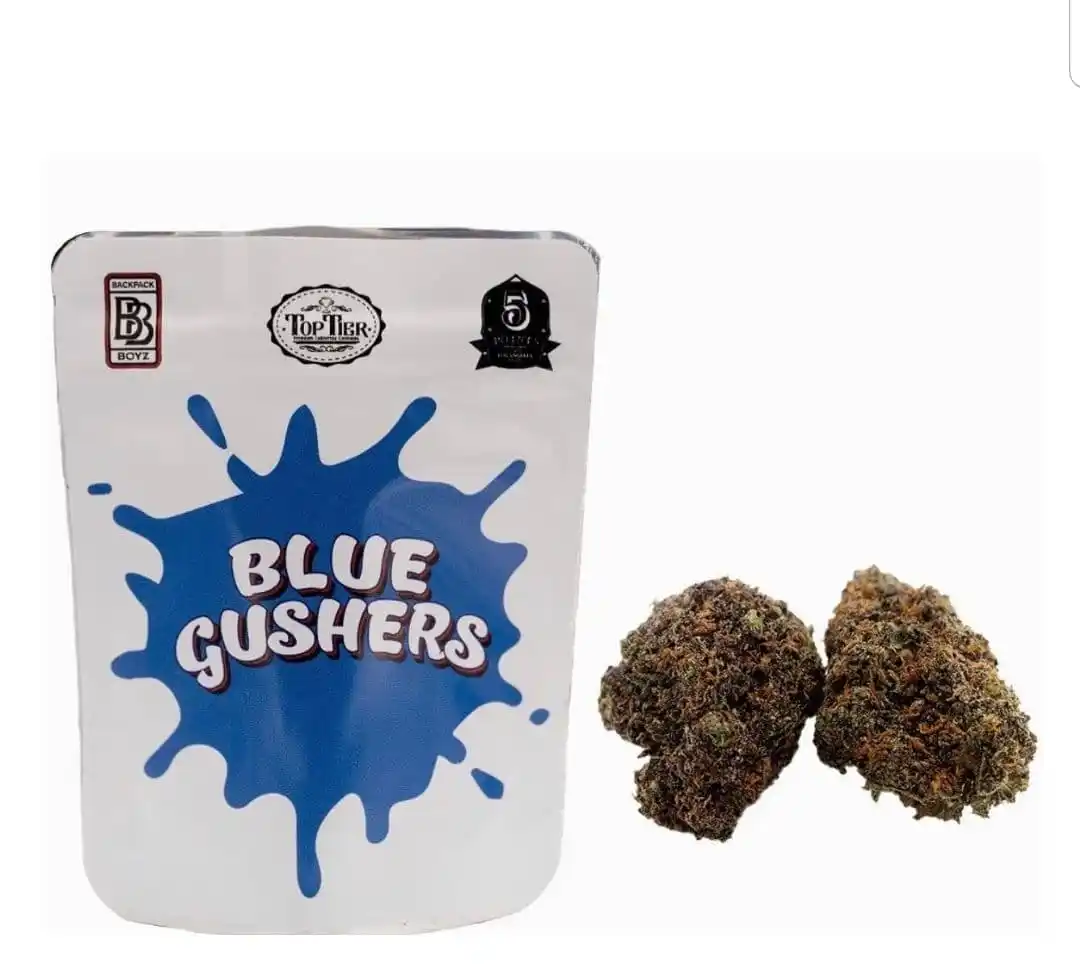 Blue Gushers Strain | Backpackboyz