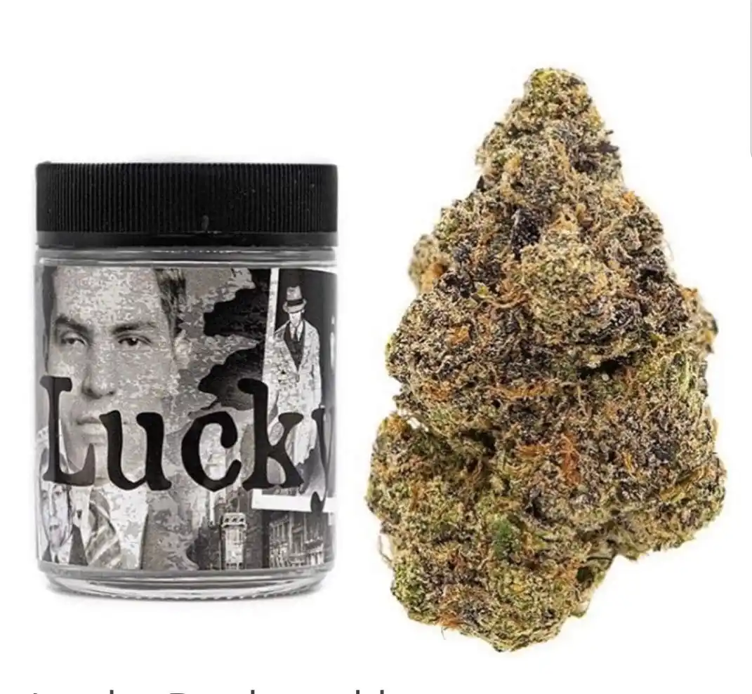 Lucky Strain | Backpackboyz