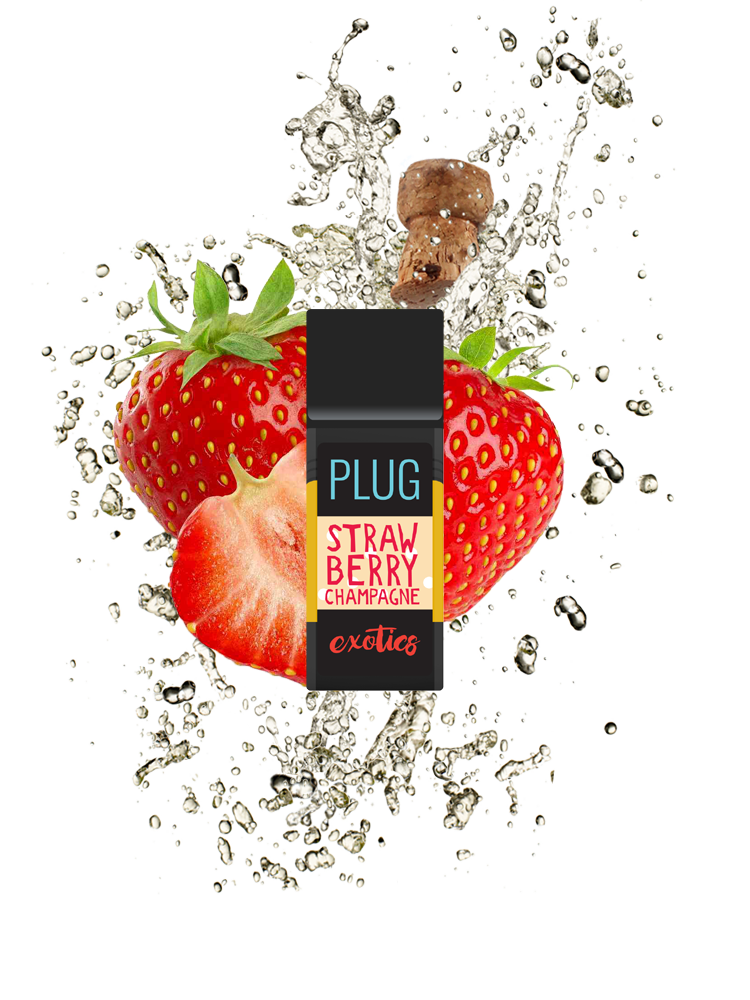 STRAWBERRY CHAMPAGNE